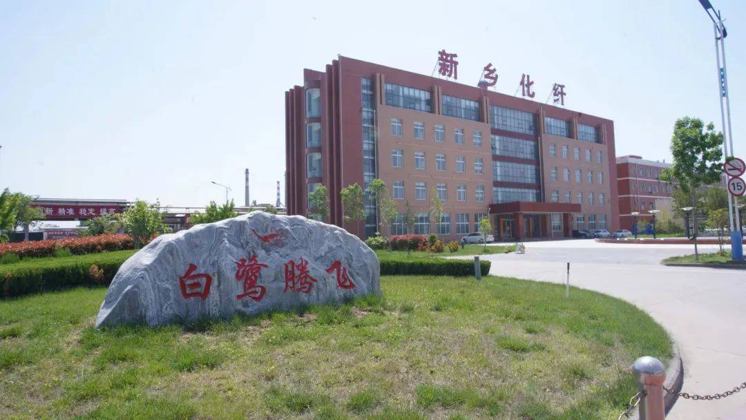 以草代木、天然抗菌、可自然降解，新鄉(xiāng)化纖開創(chuàng)新的“傳奇”——菌草纖維 