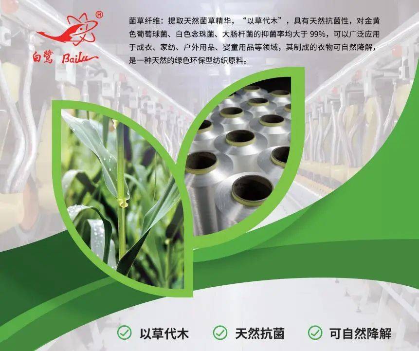 以草代木、天然抗菌、可自然降解，新鄉(xiāng)化纖開創(chuàng)新的“傳奇”——菌草纖維 